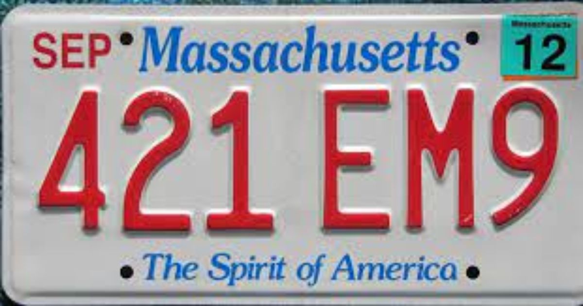 a swell place license plate