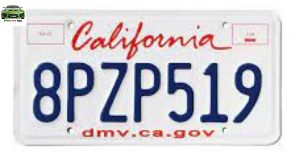 Fleet License Plate In California