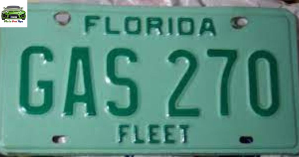 Fleet License Plate In Florida