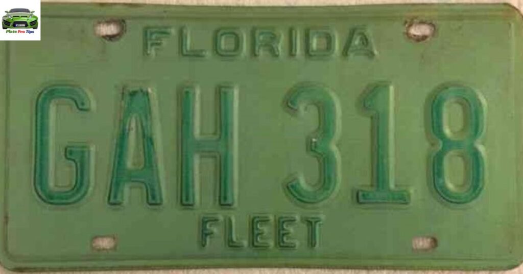 Florida Fleet License Plate