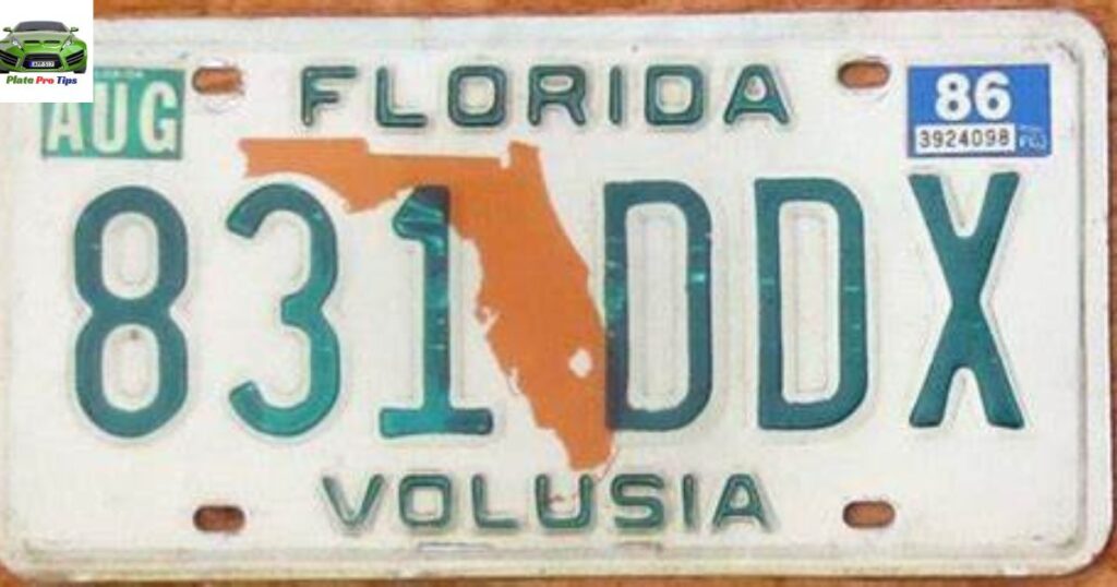 Florida Fleet License Plate