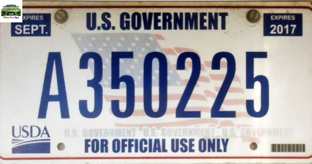 government license plate codes