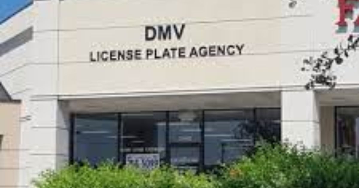 License Plate Agency