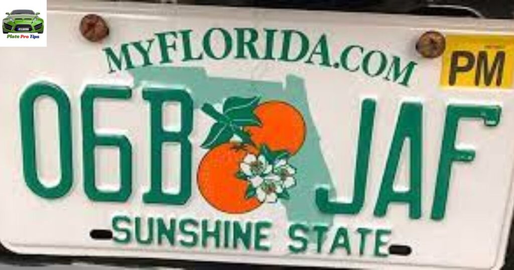 pm sticker on florida license plate