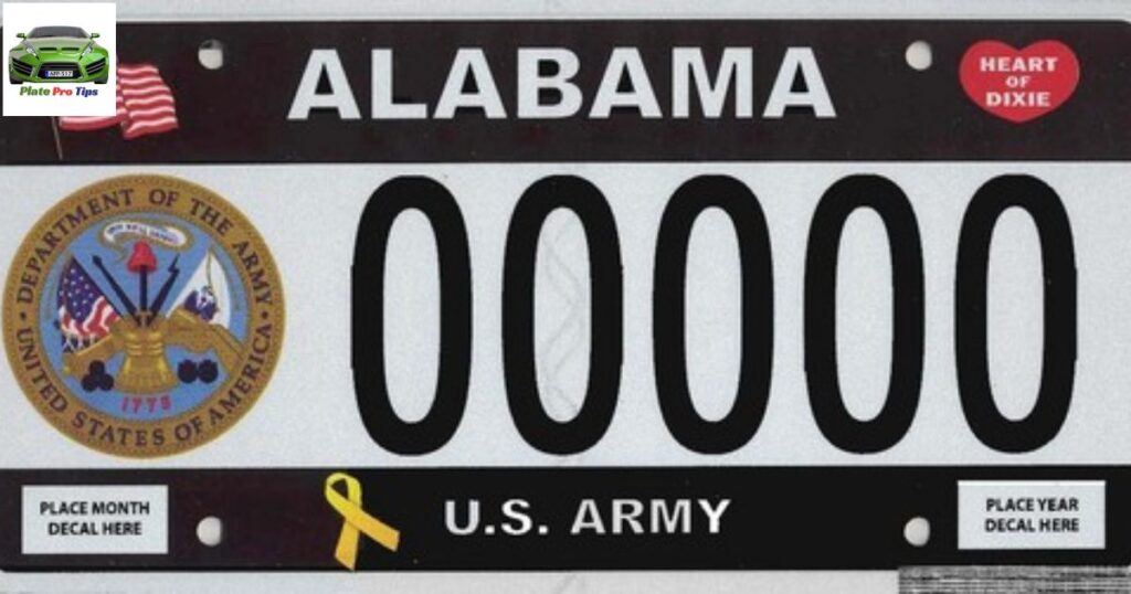 What Are Military Plates?