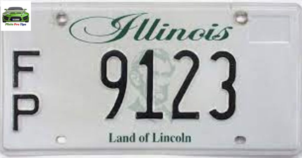 What Is a Fleet Plate in Illinois?