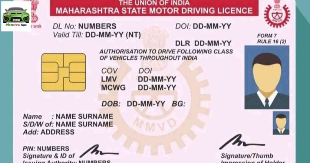 Commercial Driver Licenses