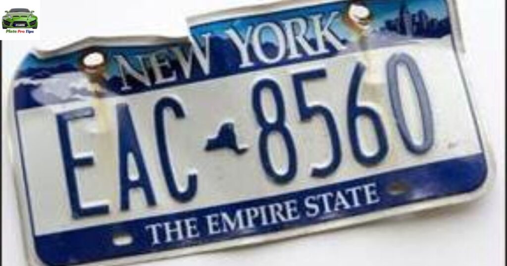 damaged license plate