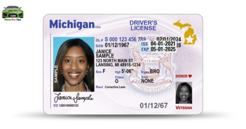 Driver License or Identification Card Changes