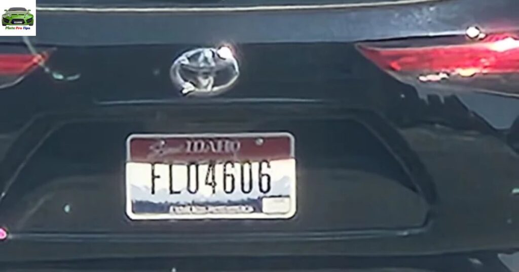  Flo License Plate Idaho