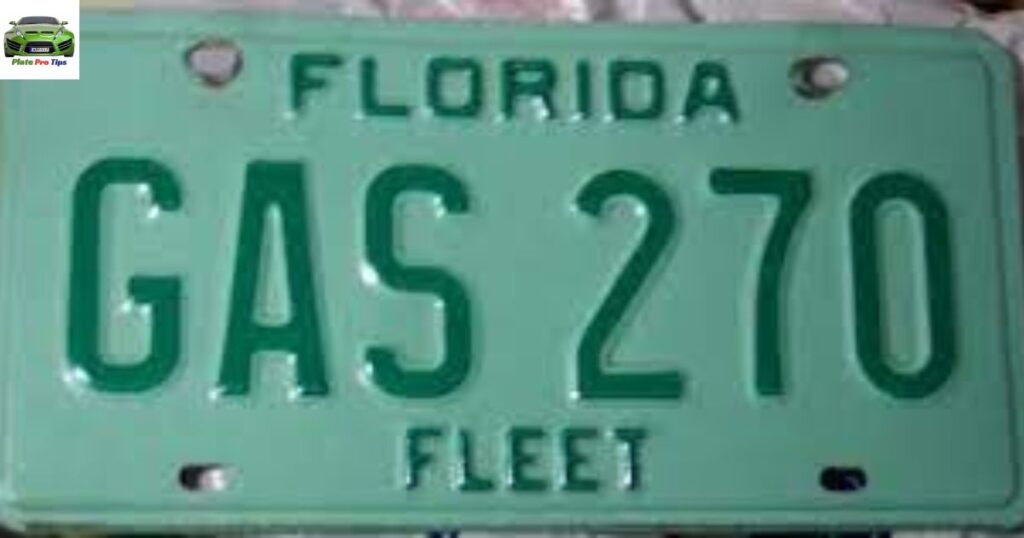 Florida Fleet License Plate