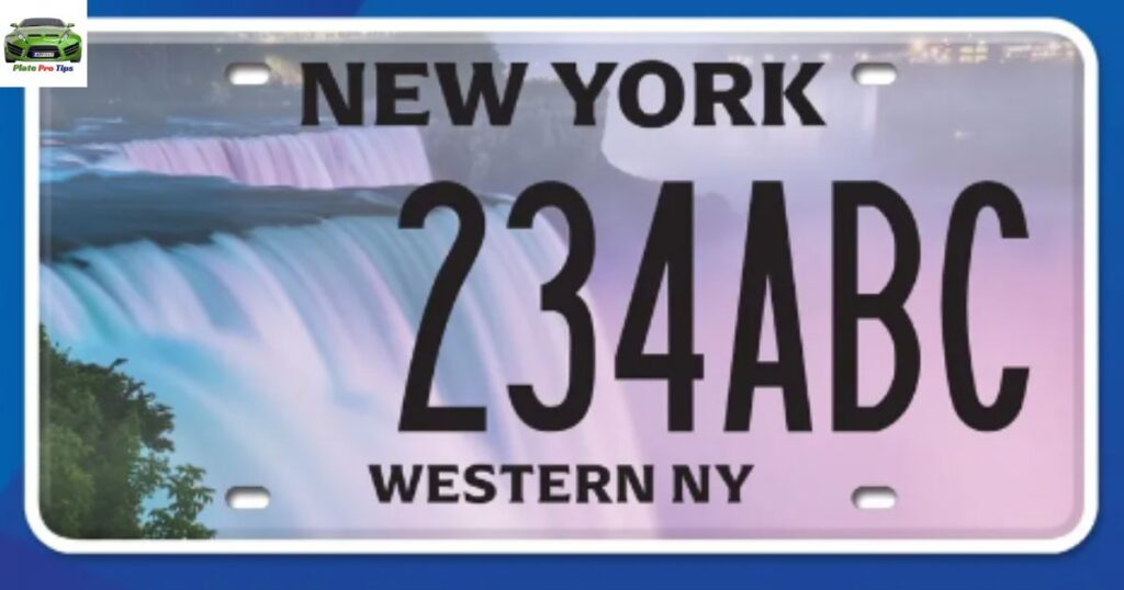 New York Fleet License Plate