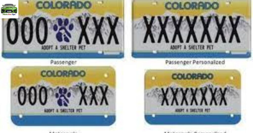 Special Group License Plates