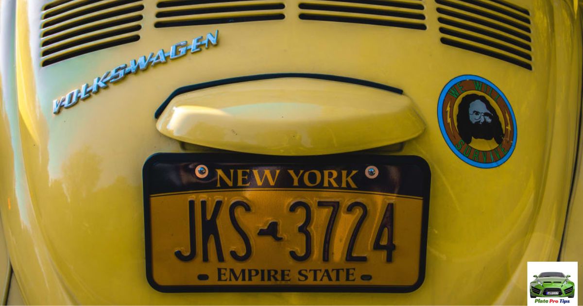 US License Plates: Designs, Serial Formats and Regula