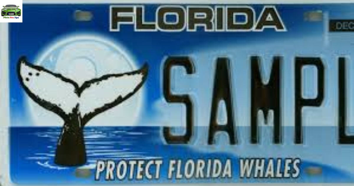 Florida License Plates