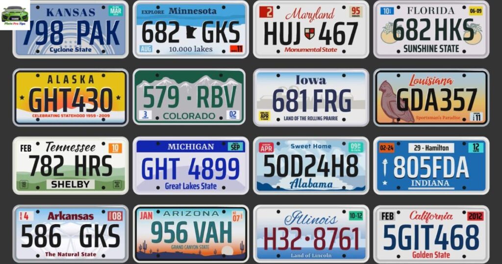  License Plates found