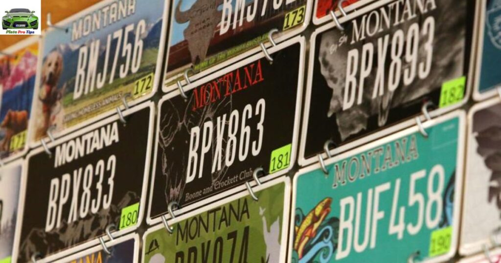 Popular in Montana License Plates