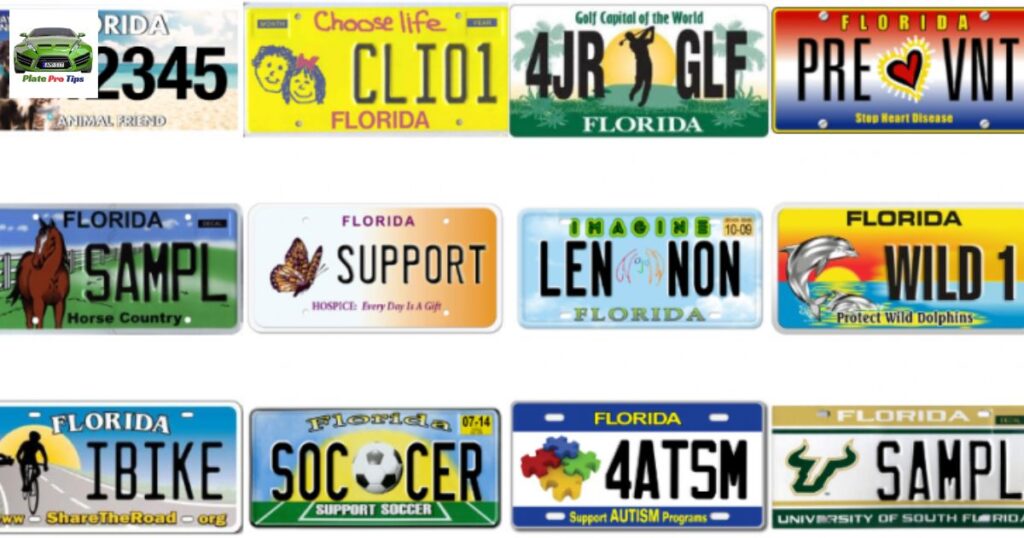 Specialty Plates