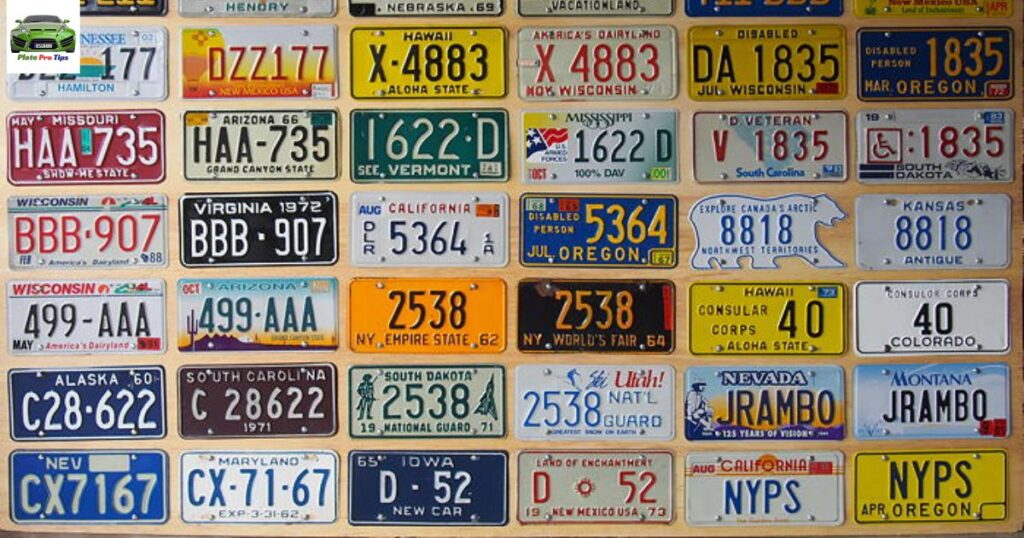 Starter Pack of 10 License Plates from 10 Different States in Craft Condition