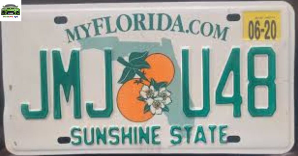 TOP Quality 4 MUCH LESS - License Plates - Compare prices!! Sold individually or 50 State Set/Run of All States. Vintage & Modern Tags