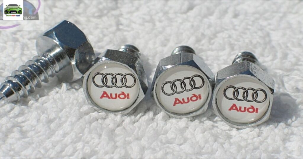 Audi License Plate Screws