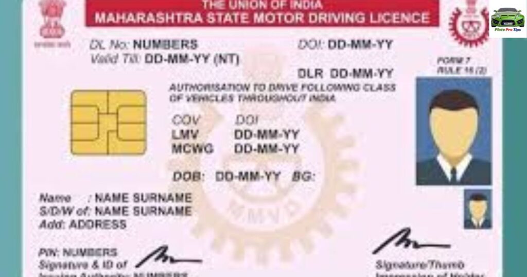 Driver license, commercial driver license, and driving permits