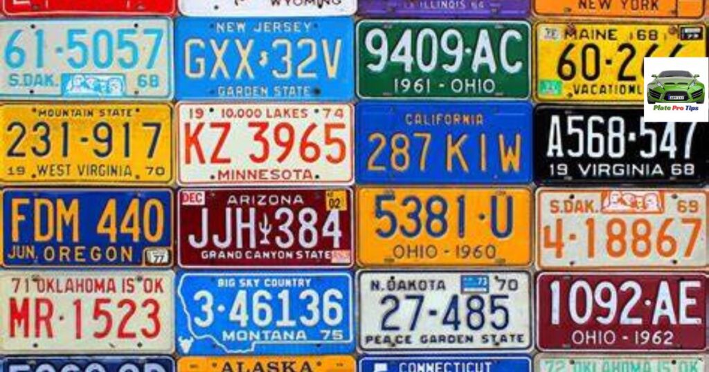 Kansas State License Plates(19)