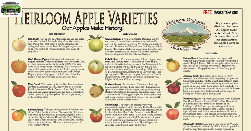 Heirloom And Unique Varieties Of Apples