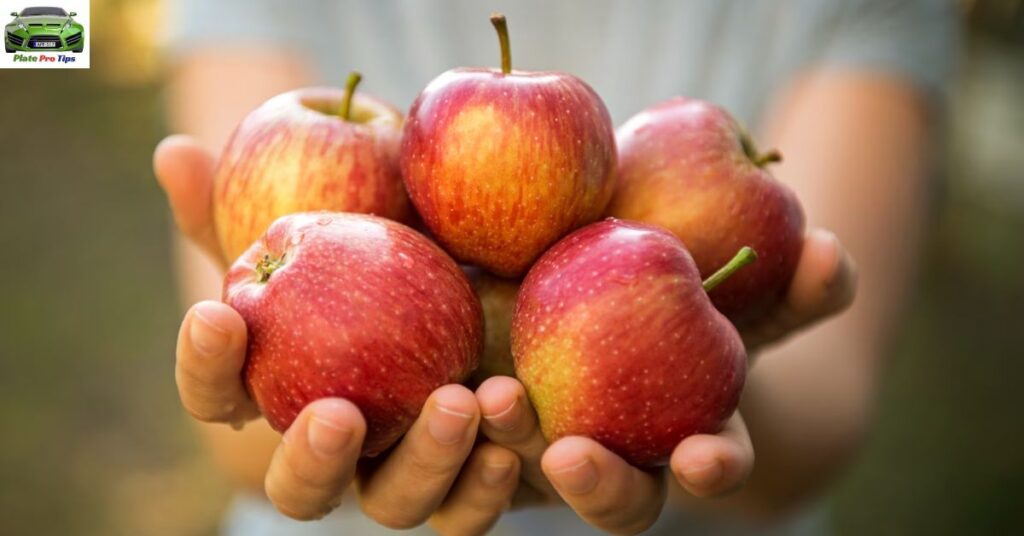 One Small Step At A Time Rules To Pick The Best Apple